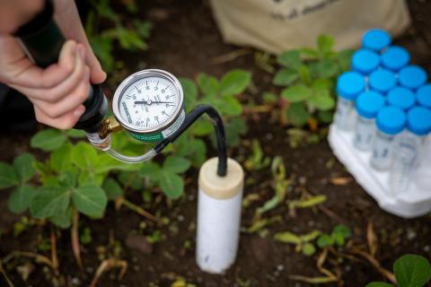 Research station Student taking measurements at research station on Trent farm